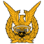 TNI AU